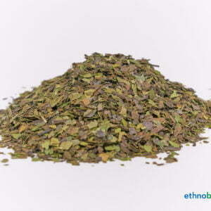 Alternative view of Guayusa - Ilex guayusa - Rohstoff