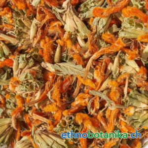 Afrikanisches Löwenohr - Leonotis leonurus - Rohstoff