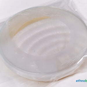 Schmetterlings-Tramete - Trametes versicolor - Pilzzucht