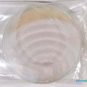 Shiitake - Lentinula edodes - Pilzzucht