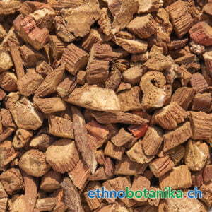 Rotwurzsalbei - Salvia miltiorrhiza Bunge - Rohstoff