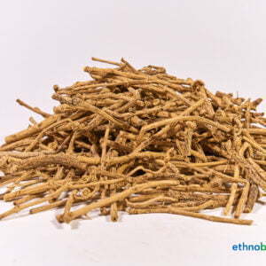 Silene capenensis 03