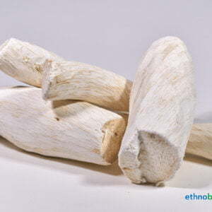 Alternative view of Afrikanische Traumwurzel - Synaptolepis kirkii - Rohstoff