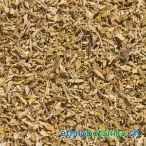 Damiana - Turnera diffusa - Rohstoff