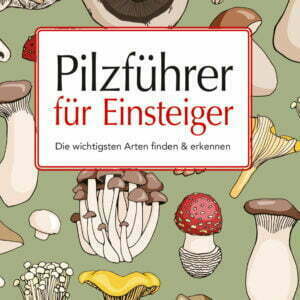 Pilzführer für Einsteiger - Die wichtigsten Arten finden & erkennen - buch
