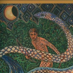Ayahuasca Shamanism in the Amazon and Beyond - buch